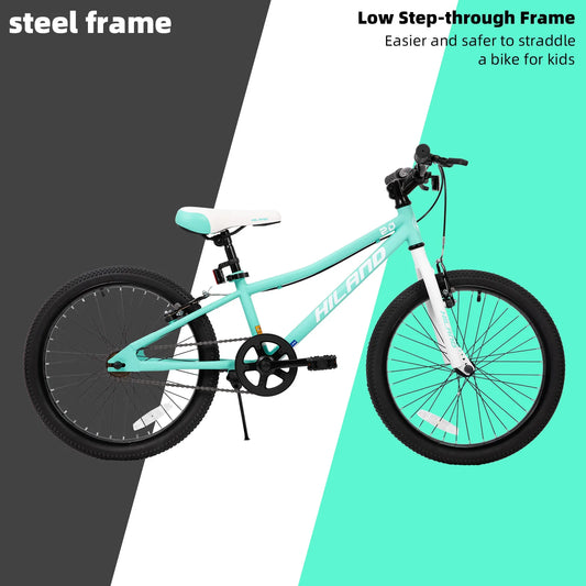 20 Inch Kids Mountain Bike with Dual Handbrakes and Kickstand 