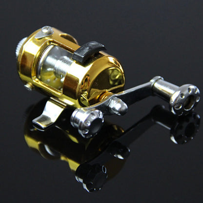 Mini Fishing Rod for Fishing Enthusiast Collectors