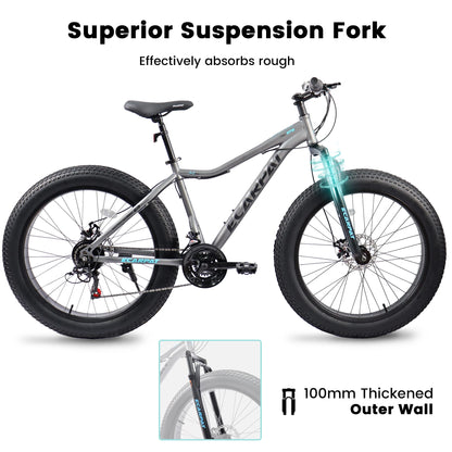 26 Inch Mountain Bike with Steel Frame Disc Brake